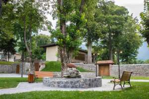 The Enduring Role of Turf in Contemporary Landscaping