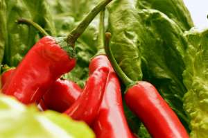 The Health Benefits of Gochugaru Pepper: Why It’s More Than Just Spice