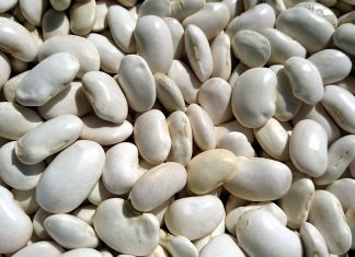 benefits of white beans