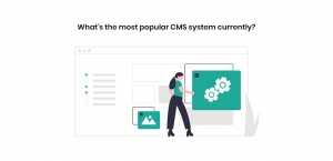 CMS System