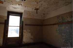 Mold remediation