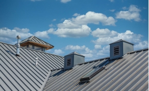 Exploring the Diversity of Metal Roof Panels