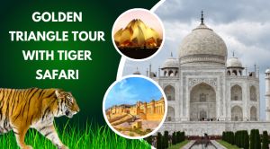 golden triangle tour with Ranthambore 