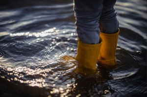 Boosting Positivity Through Water Damage Control