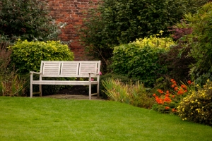 Improving Your Garden: Redesigning the Space