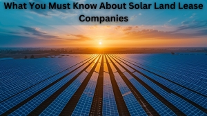 Essential insights on solar land lease companies