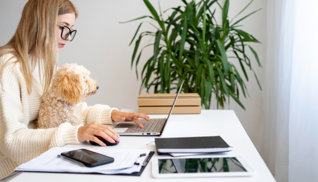 Creating a Workday Routine that Keeps Your Dog as Busy as You