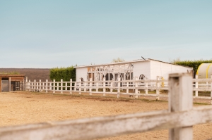 Common mistakes in buying horse property