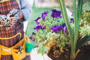 Choosing the Best Mulch Delivery