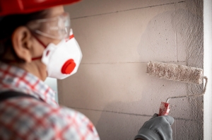 Save Time & Money with Painters