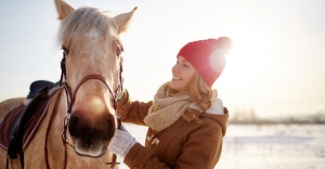 How To Adjust Your Horse’s Exercise Routine for Winter