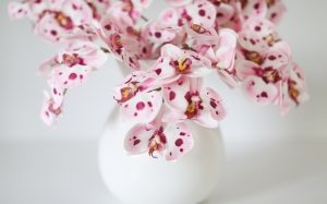 Everlasting Elegance: Decorating with Realistic Artificial Orchids